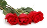 Valentines 2 Night Romantic Spa Break €180pps